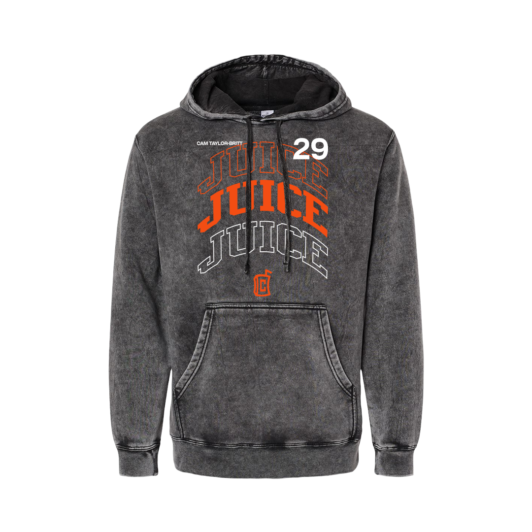 JUICE MINERAL WASH HOODIE