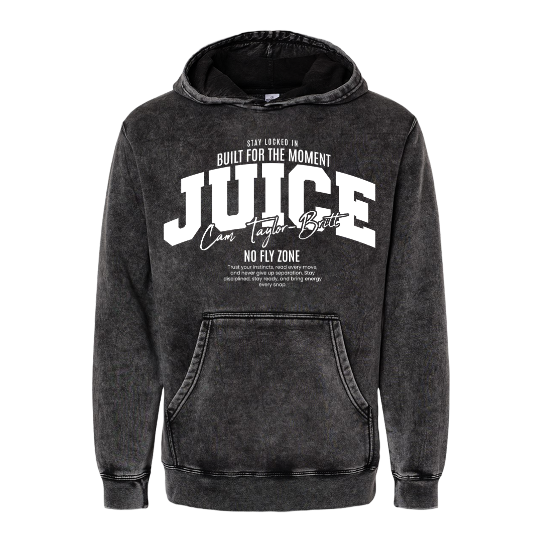 NO FLY ZONE LOGO MINERAL WASH HOODIE