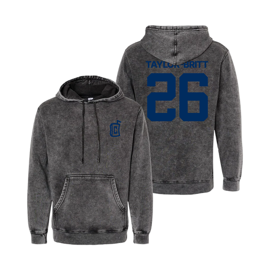 SIGNATURE LOGO 26 MINERAL WASH HOODIE