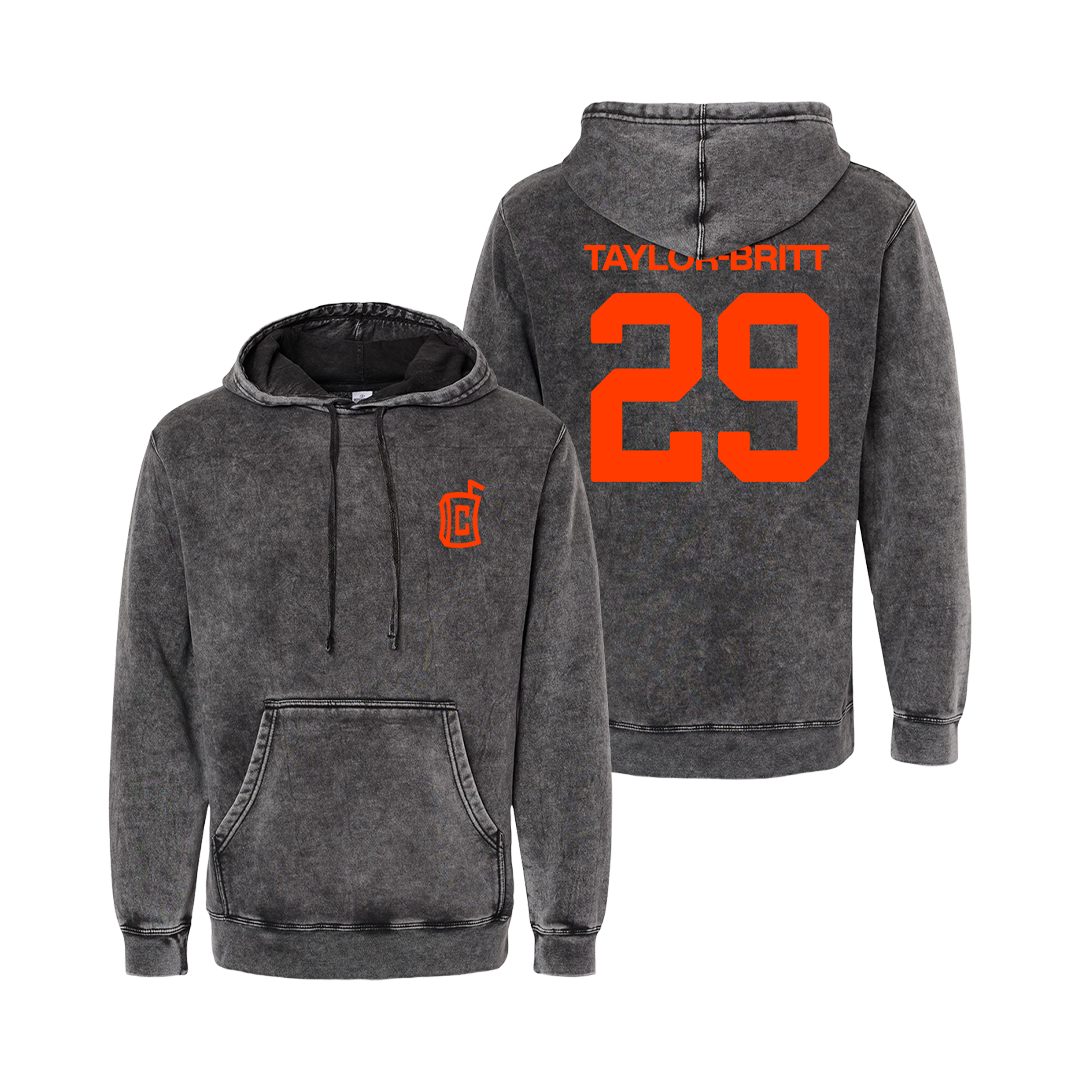 SIGNATURE LOGO 29 MINERAL WASH HOODIE